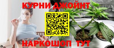 мдпв Ипатово