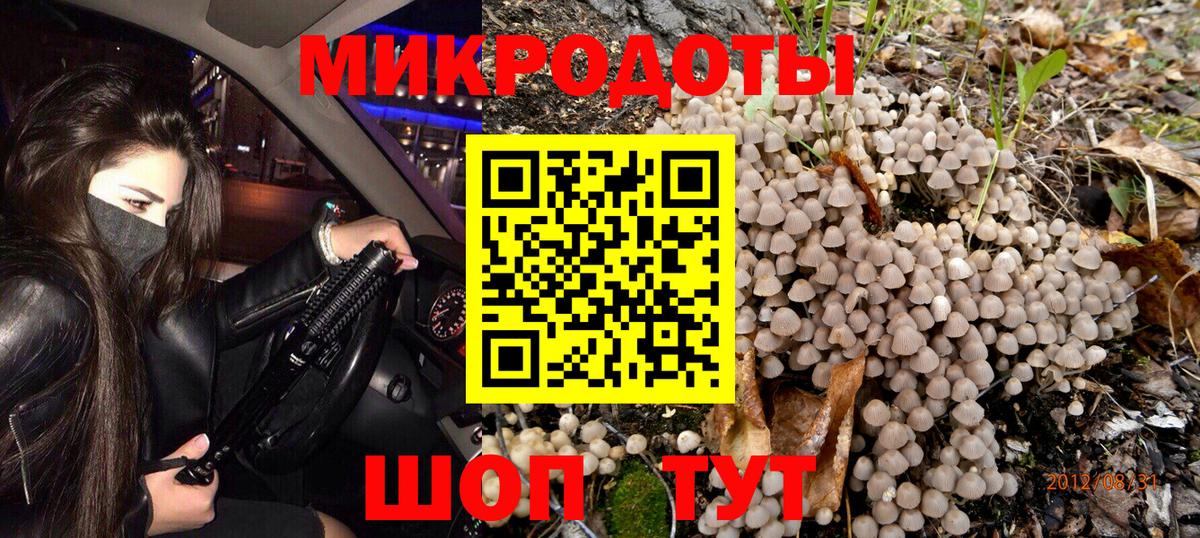 Псилоцибиновые грибы Cubensis Кохма